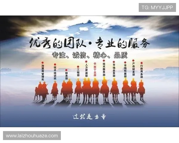 杭州足球队的默契配合揭秘：从战术到团队精神的深度分析